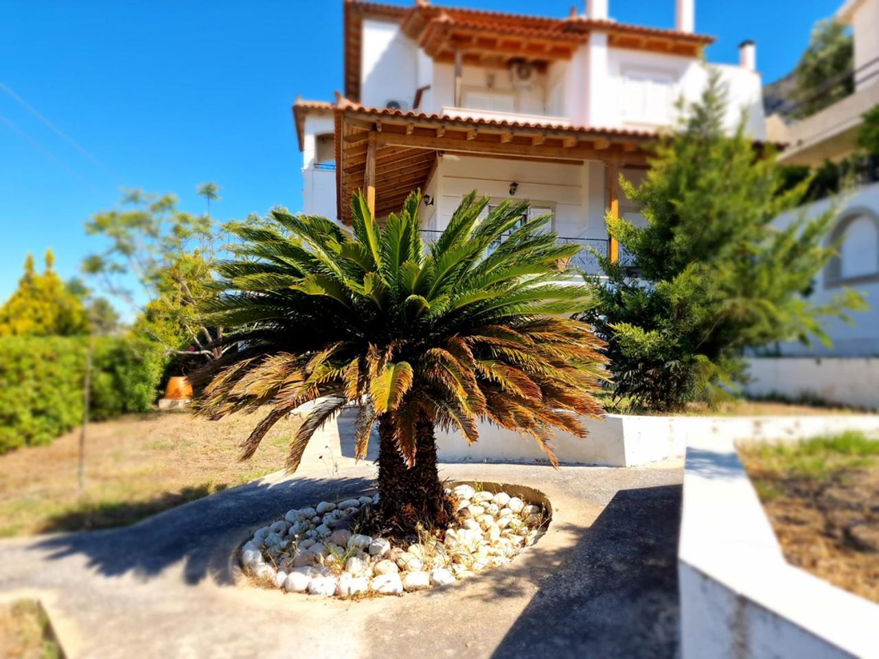 The Mirador Boutique Villa With Scenic Sea View Pórto Ráfti Exterior foto